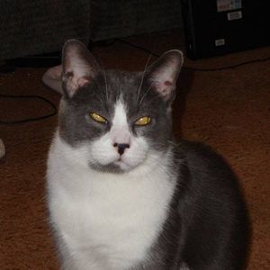 Meet your Posher, Carla